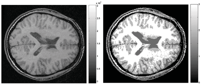 Figure 1 for Introduction to Brain and Medical Images