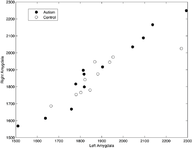 Figure 3 for Introduction to Brain and Medical Images