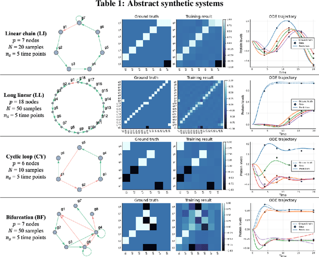 Figure 2 for Inference of cell dynamics on perturbation data using adjoint sensitivity