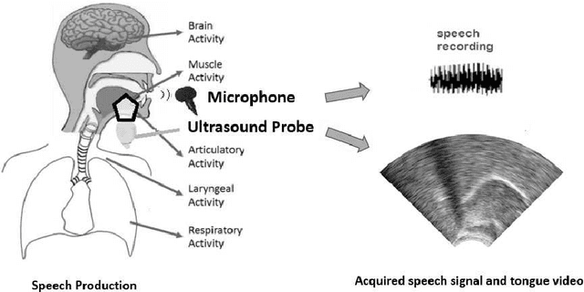 Figure 1 for Improving Neural Silent Speech Interface Models by Adversarial Training