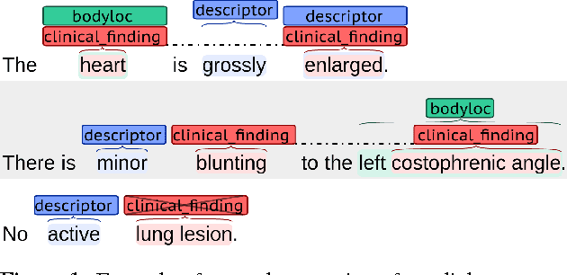 Figure 1 for Modelling Radiological Language with Bidirectional Long Short-Term Memory Networks