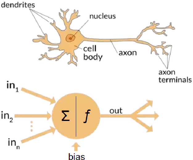 Figure 4 for Deep Reinforcement Learning for Complex Manipulation Tasks with Sparse Feedback