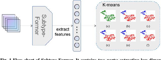 Figure 1 for Subtype-Former: a deep learning approach for cancer subtype discovery with multi-omics data
