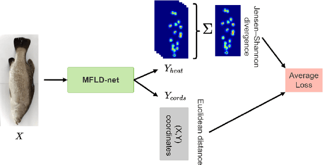 Figure 2 for A lightweight Transformer-based model for fish landmark detection