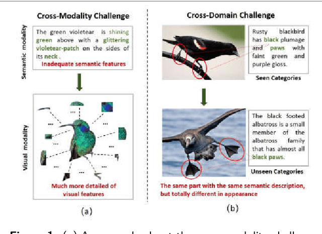 Figure 1 for Cross Knowledge-based Generative Zero-Shot Learning Approach with Taxonomy Regularization