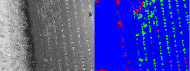 Figure 2 for weedNet: Dense Semantic Weed Classification Using Multispectral Images and MAV for Smart Farming
