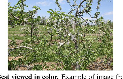 Figure 1 for Apple Flower Detection using Deep Convolutional Networks