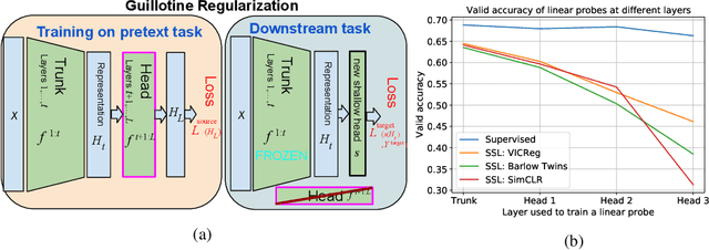 Figure 1 for Guillotine Regularization: Improving Deep Networks Generalization by Removing their Head