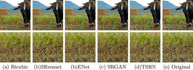 Figure 1 for The Unreasonable Effectiveness of Texture Transfer for Single Image Super-resolution