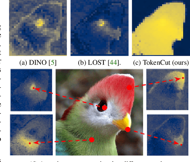Figure 1 for Self-Supervised Transformers for Unsupervised Object Discovery using Normalized Cut