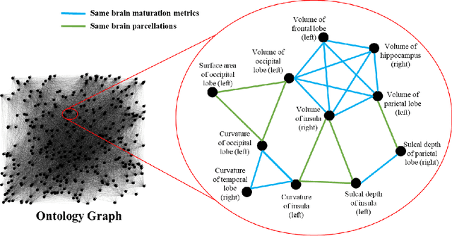 Figure 3 for A Novel Ontology-guided Attribute Partitioning Ensemble Learning Model for Early Prediction of Cognitive Deficits using Quantitative Structural MRI in Very Preterm Infants