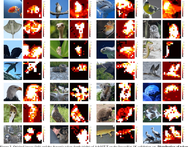 Figure 4 for AdaViT: Adaptive Tokens for Efficient Vision Transformer