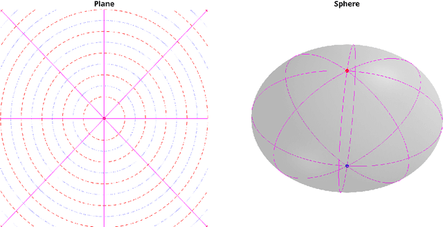 Figure 2 for Compactification of the Rigid Motions Group in Image Processing