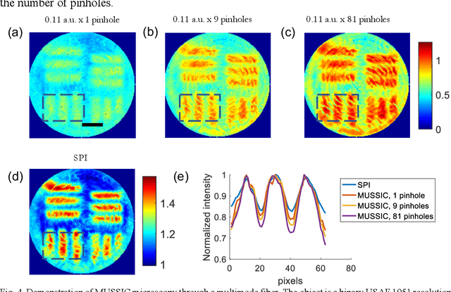 Figure 4 for Multiview Scattering Scanning Imaging Confocal Microscopy through a Multimode Fiber