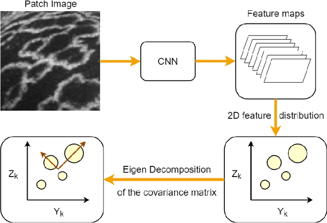 Figure 4 for EDEN: Deep Feature Distribution Pooling for Saimaa Ringed Seals Pattern Matching