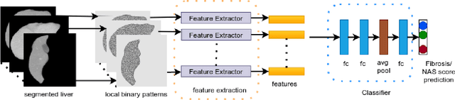 Figure 3 for Liver Fibrosis and NAS scoring from CT images using self-supervised learning and texture encoding