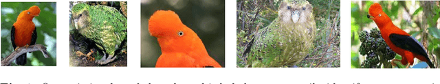 Figure 1 for Novel Class Discovery without Forgetting
