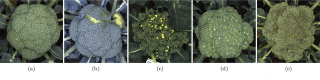 Figure 3 for Active learning with MaskAL reduces annotation effort for training Mask R-CNN