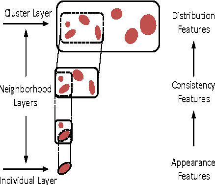 Figure 2 for Transferring Learned Microcalcification Group Detection from 2D Mammography to 3D Digital Breast Tomosynthesis Using a Hierarchical Model and Scope-based Normalization Features