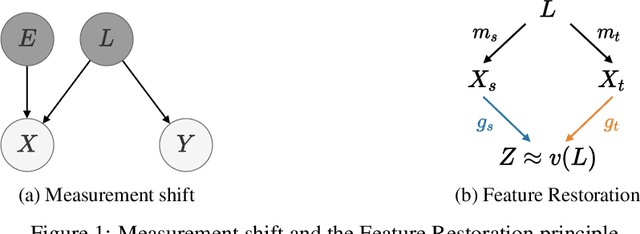 Figure 1 for Source-Free Adaptation to Measurement Shift via Bottom-Up Feature Restoration