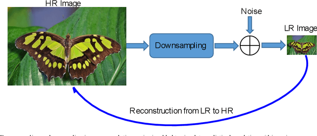 Figure 1 for A Comprehensive Review of Deep Learning-based Single Image Super-resolution