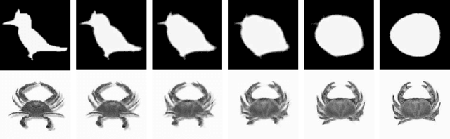 Figure 3 for The Euler-Poincare theory of Metamorphosis