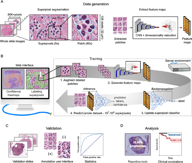Figure 1 for HistomicsML2.0: Fast interactive machine learning for whole slide imaging data