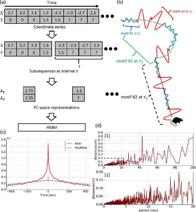 Figure 1 for Multiscale dictionary of rat locomotion