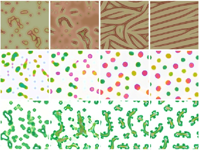Figure 3 for Differentiable Programming of Reaction-Diffusion Patterns