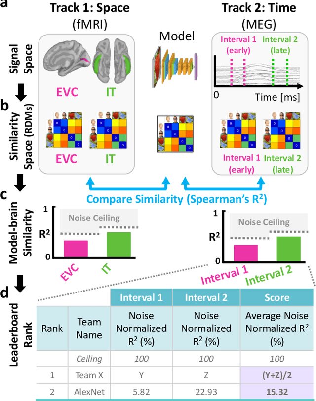 Figure 1 for The Algonauts Project: A Platform for Communication between the Sciences of Biological and Artificial Intelligence