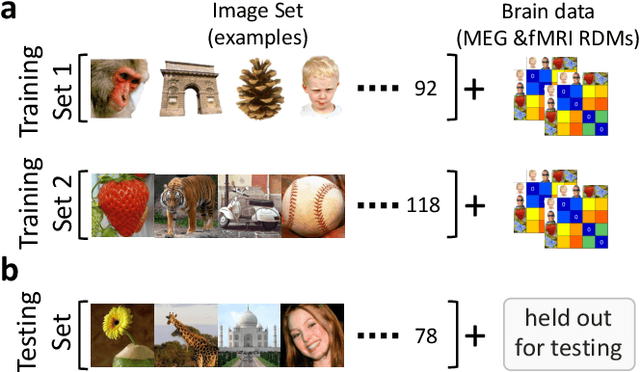 Figure 2 for The Algonauts Project: A Platform for Communication between the Sciences of Biological and Artificial Intelligence