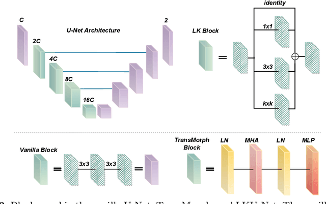 Figure 3 for U-Net vs Transformer: Is U-Net Outdated in Medical Image Registration?