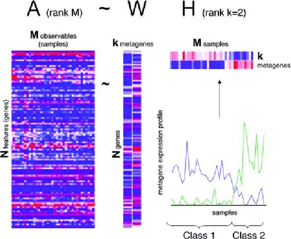 Figure 1 for Prediction of Cancer Microarray and DNA Methylation Data using Non-negative Matrix Factorization