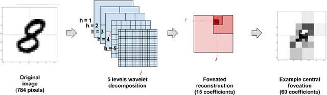 Figure 2 for Toward predictive machine learning for active vision