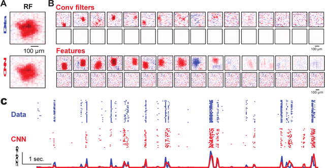 Figure 4 for Revealing Fine Structures of the Retinal Receptive Field by Deep Learning Networks