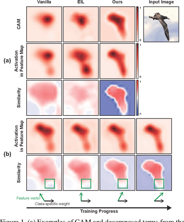 Figure 1 for Bridging the Gap between Classification and Localization for Weakly Supervised Object Localization