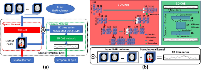 Figure 1 for Modeling 4D fMRI Data via Spatio-Temporal Convolutional Neural Networks