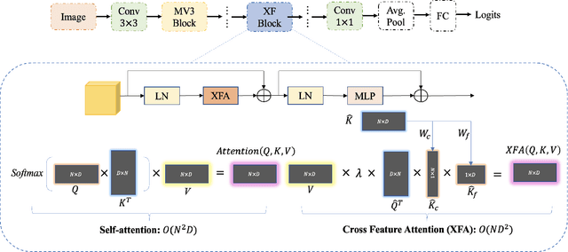 Figure 1 for Lightweight Vision Transformer with Cross Feature Attention