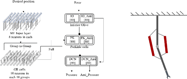 Figure 1 for Control of Pneumatic Artificial Muscles with SNN-based Cerebellar-like Model