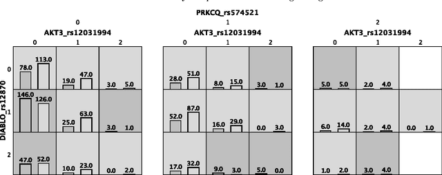 Figure 4 for Toward the automated analysis of complex diseases in genome-wide association studies using genetic programming