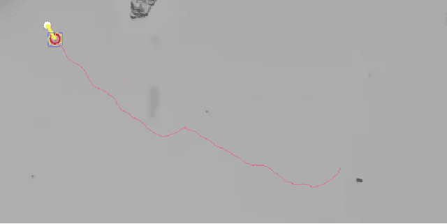 Figure 2 for Closed-loop Control of Catalytic Janus Microrobots