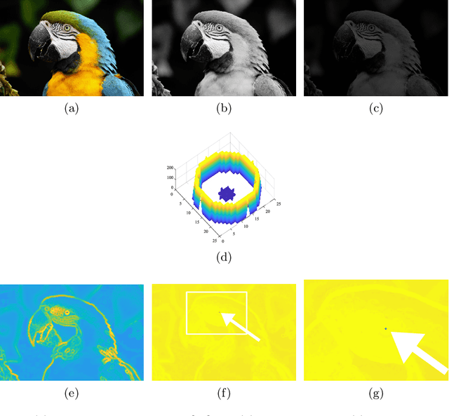 Figure 1 for A Link Between the Multiplicative and Additive Functional Asplund's Metrics