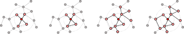 Figure 1 for A Hierarchy of Graph Neural Networks Based on Learnable Local Features