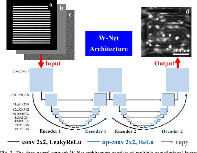 Figure 3 for Modeling adult skeletal stem cell response to laser-machined topographies through deep learning