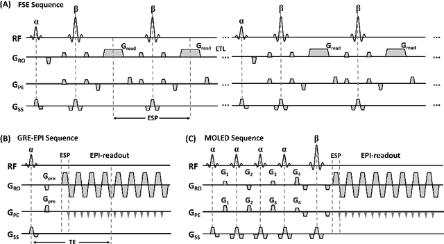 Figure 3 for High-efficient Bloch simulation of magnetic resonance imaging sequences based on deep learning