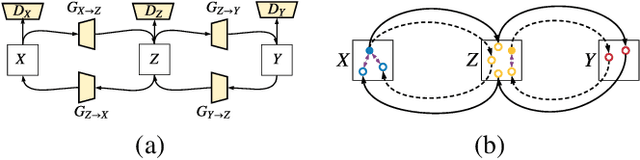 Figure 1 for Multi-Cycle-Consistent Adversarial Networks for CT Image Denoising