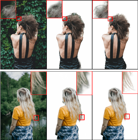 Figure 1 for PP-Matting: High-Accuracy Natural Image Matting