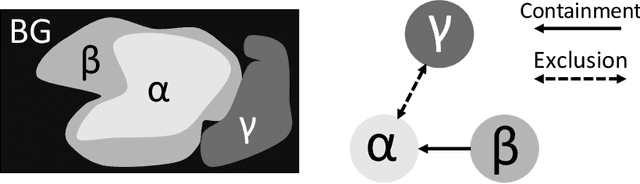 Figure 3 for Learning Topological Interactions for Multi-Class Medical Image Segmentation