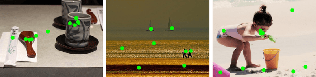 Figure 1 for Personal Fixations-Based Object Segmentation with Object Localization and Boundary Preservation