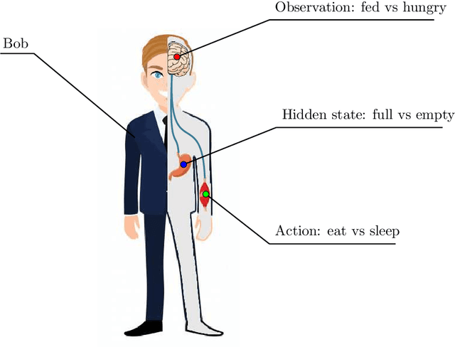 Figure 1 for Realising Active Inference in Variational Message Passing: the Outcome-blind Certainty Seeker